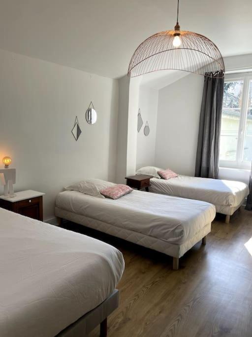 וינה Maison De Charme Avec Jardin - Proche Lyon - מראה חיצוני תמונה