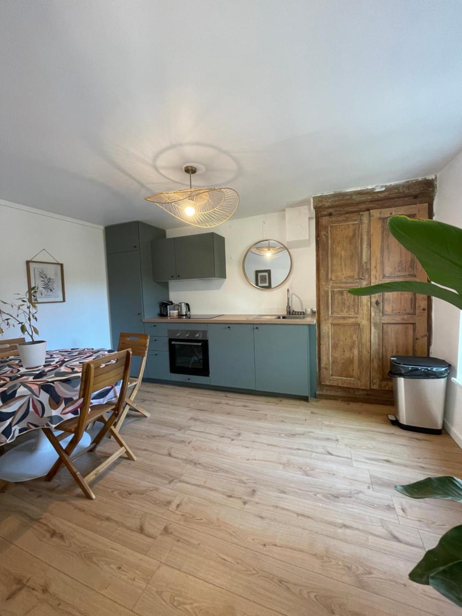 וינה Maison De Charme Avec Jardin - Proche Lyon - מראה חיצוני תמונה